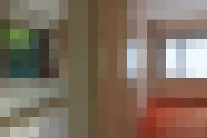 Godfried Bomanslaan 6 Hilvarenbeek thumbnail 20