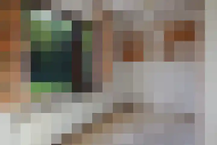 Godfried Bomanslaan 6 Hilvarenbeek thumbnail 21