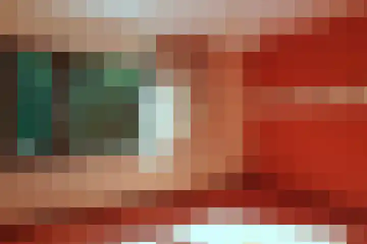 Godfried Bomanslaan 6 Hilvarenbeek thumbnail 23