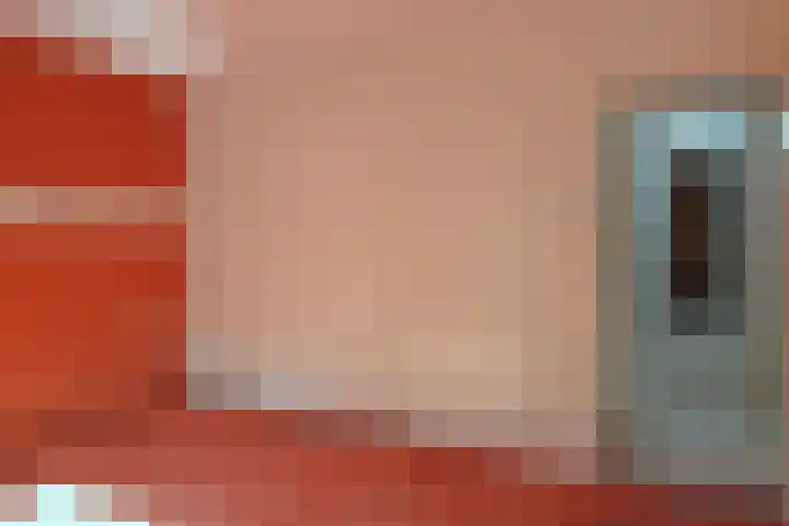 Godfried Bomanslaan 6 Hilvarenbeek thumbnail 24