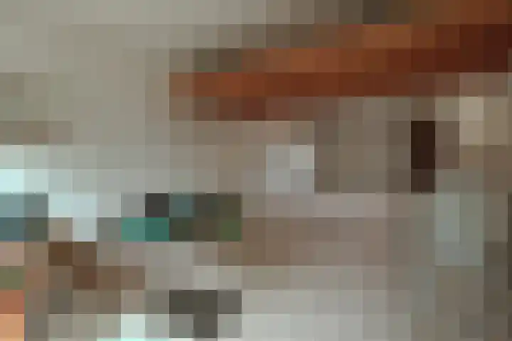 Godfried Bomanslaan 6 Hilvarenbeek thumbnail 32