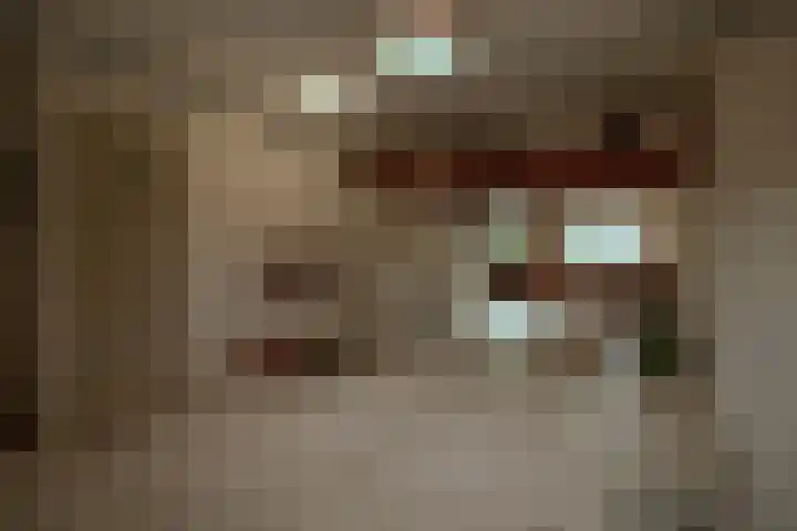 Godfried Bomanslaan 6 Hilvarenbeek thumbnail 33