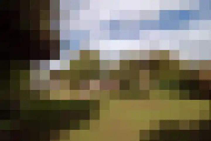 Godfried Bomanslaan 6 Hilvarenbeek thumbnail 34