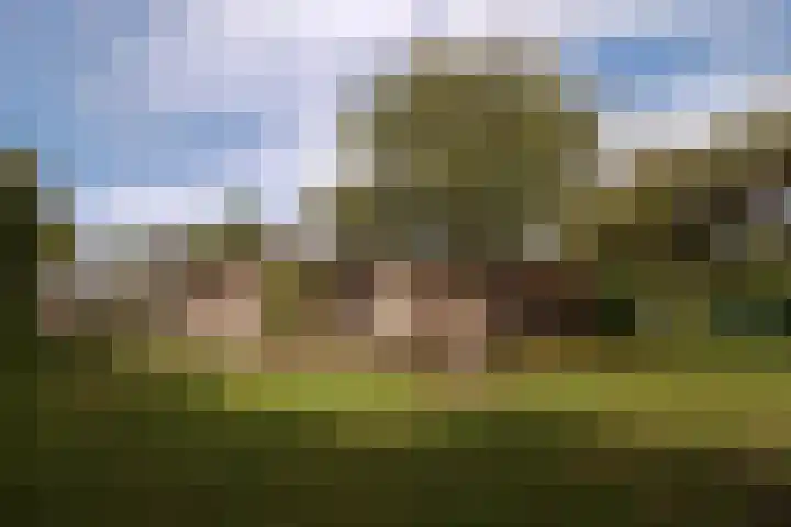 Godfried Bomanslaan 6 Hilvarenbeek thumbnail 35