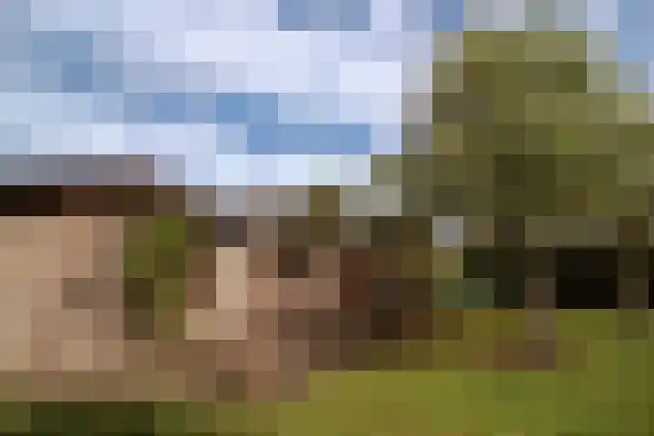 Godfried Bomanslaan 6 Hilvarenbeek thumbnail 36