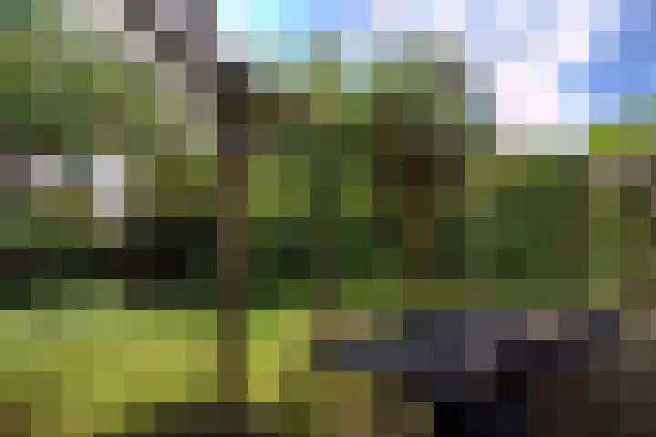 Godfried Bomanslaan 6 Hilvarenbeek thumbnail 37