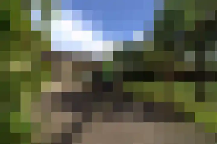 Godfried Bomanslaan 6 Hilvarenbeek thumbnail 38