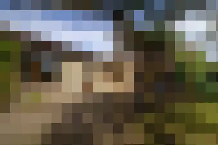 Godfried Bomanslaan 6 Hilvarenbeek thumbnail 39