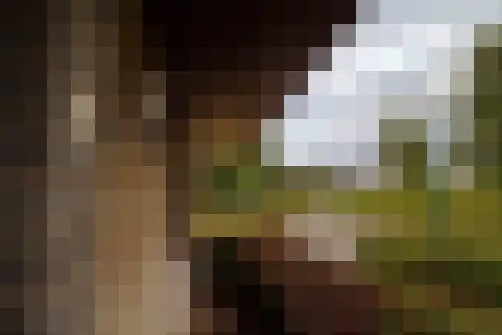 Godfried Bomanslaan 6 Hilvarenbeek thumbnail 4