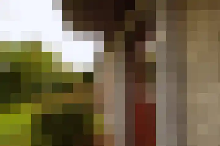 Godfried Bomanslaan 6 Hilvarenbeek thumbnail 41