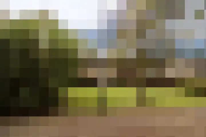 Godfried Bomanslaan 6 Hilvarenbeek thumbnail 42