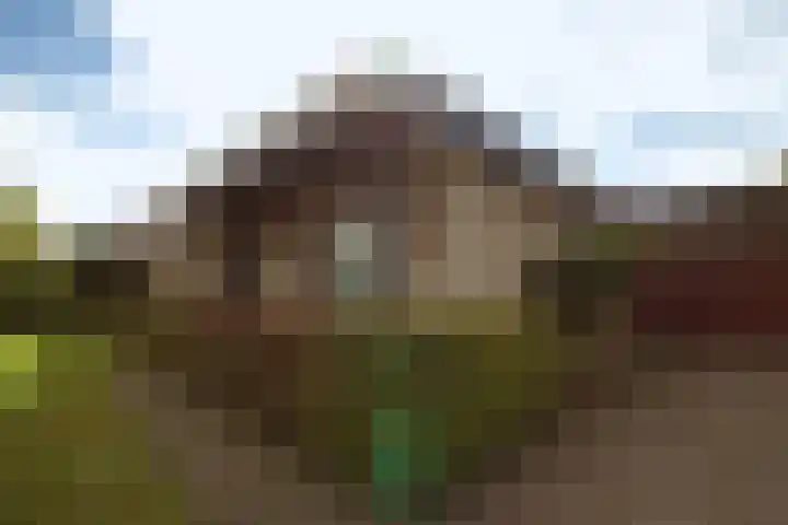 Godfried Bomanslaan 6 Hilvarenbeek thumbnail 44