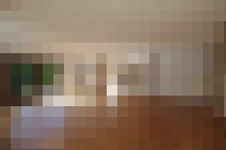 Godfried Bomanslaan 6 Hilvarenbeek thumbnail 6