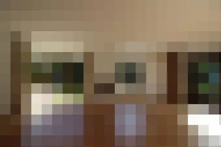 Godfried Bomanslaan 6 Hilvarenbeek thumbnail 7