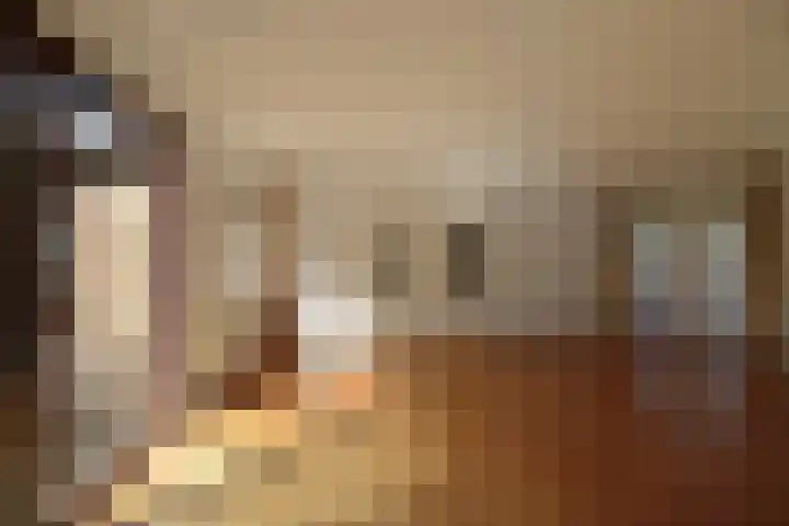 Godfried Bomanslaan 6 Hilvarenbeek thumbnail 8