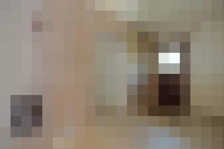 Godfried Bomanslaan 6 Hilvarenbeek thumbnail 9