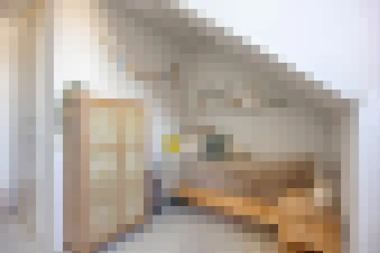 Godfried Bomanspad 10 Middelharnis thumbnail 22