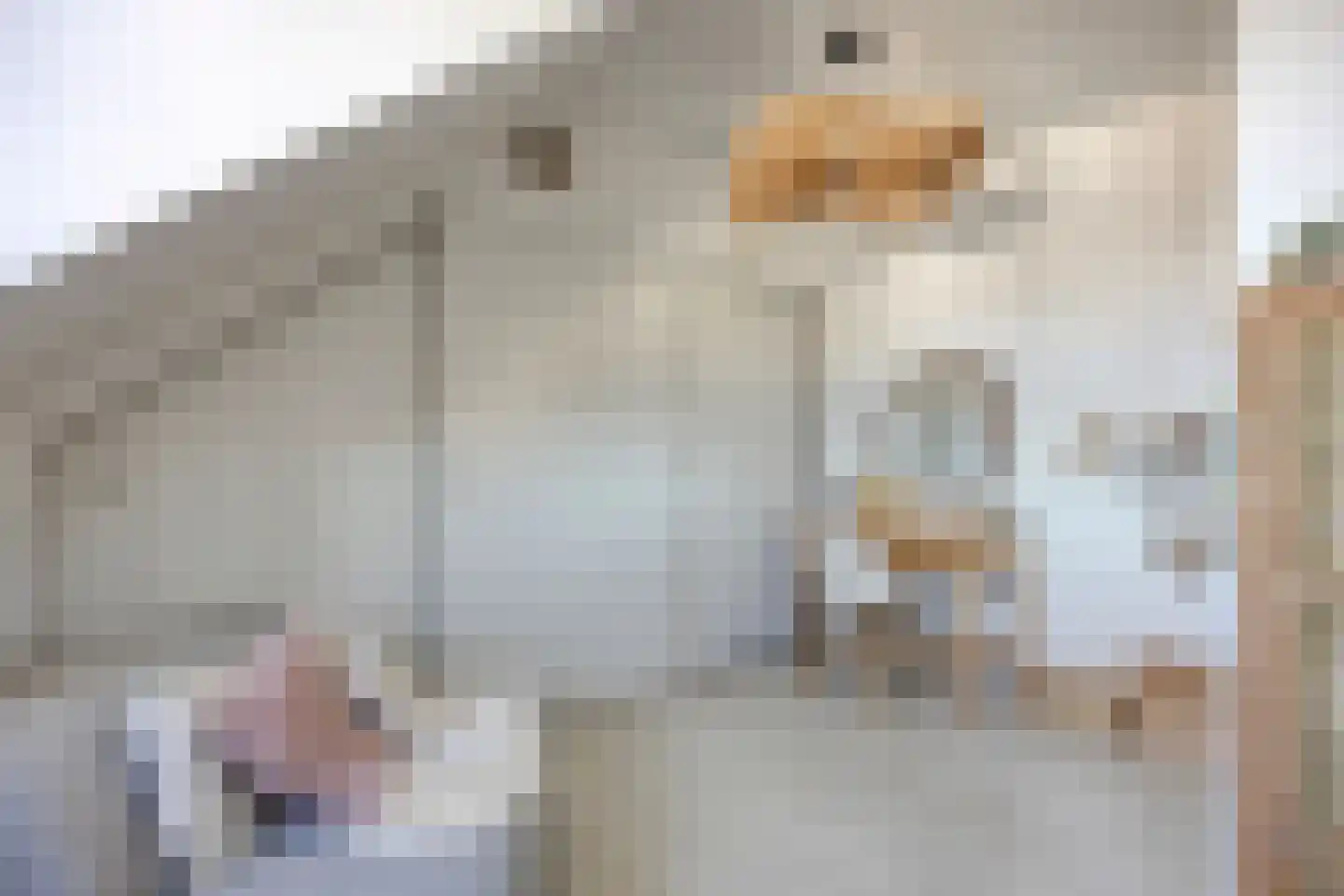 Godfried Bomanspad 10 Middelharnis thumbnail 24