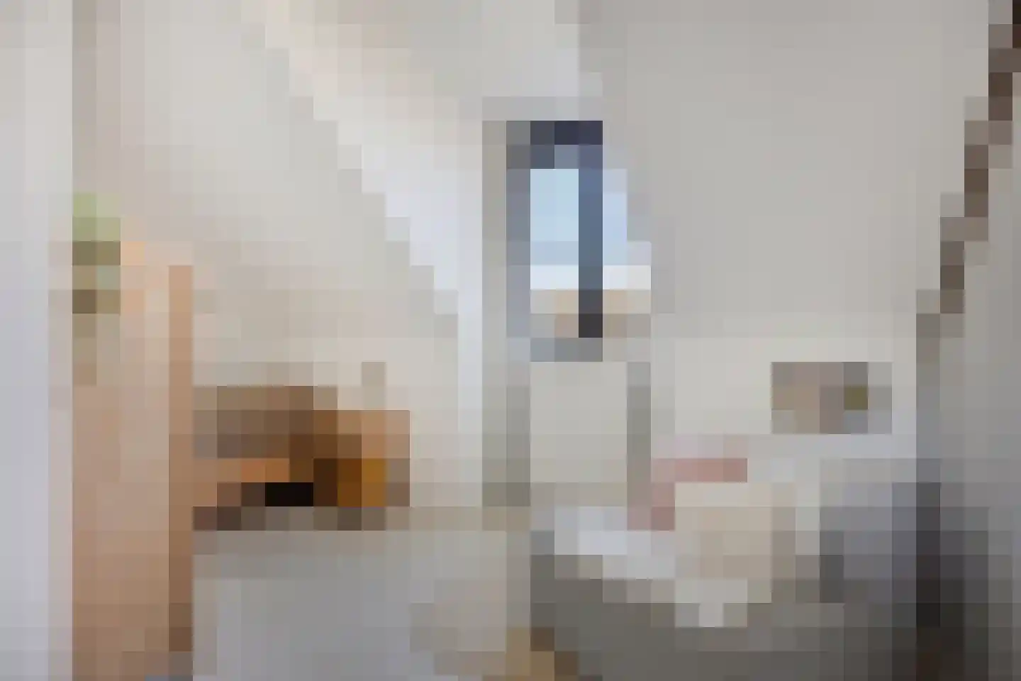 Godfried Bomanspad 10 Middelharnis thumbnail 25