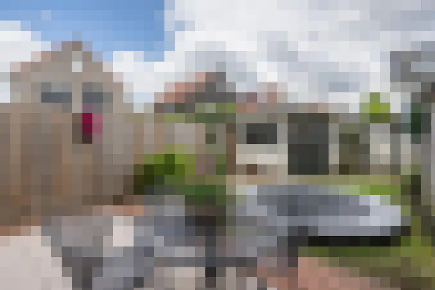 Godfried Bomanspad 8 Middelharnis thumbnail 25