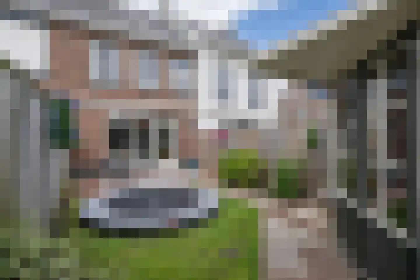 Godfried Bomanspad 8 Middelharnis thumbnail 26