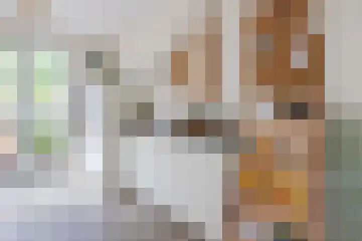 Godfried Bomansstraat 10 Nijmegen thumbnail 13