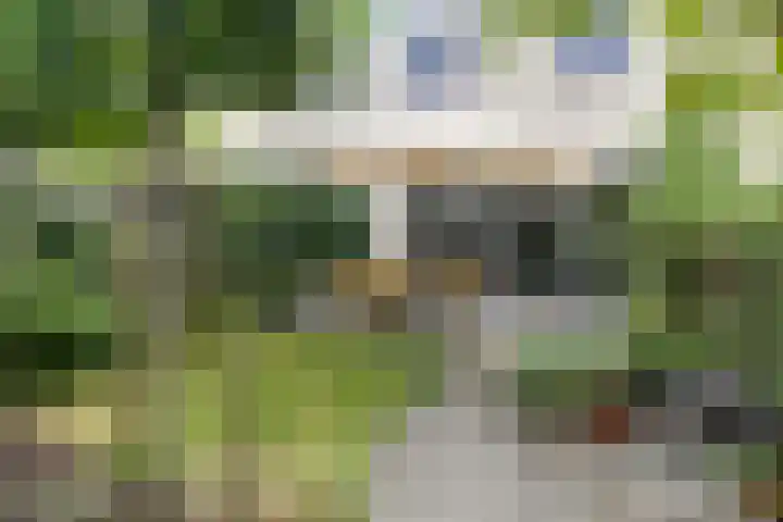 Godfried Bomansstraat 10 Nijmegen thumbnail 37
