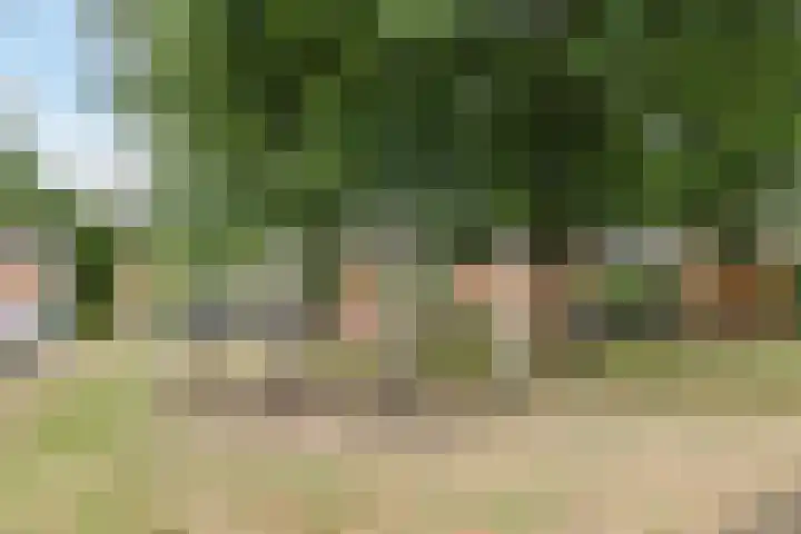 Godfried Bomansstraat 10 Nijmegen thumbnail 39