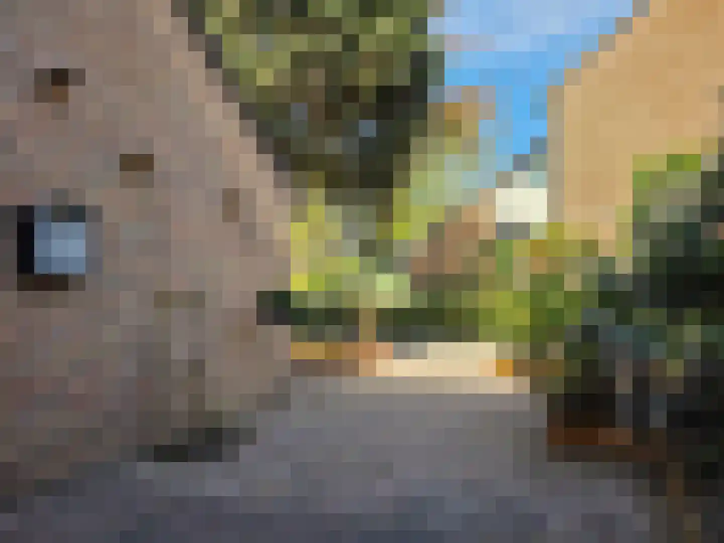 Godfried Bomansstraat 104 Hengelo thumbnail 78