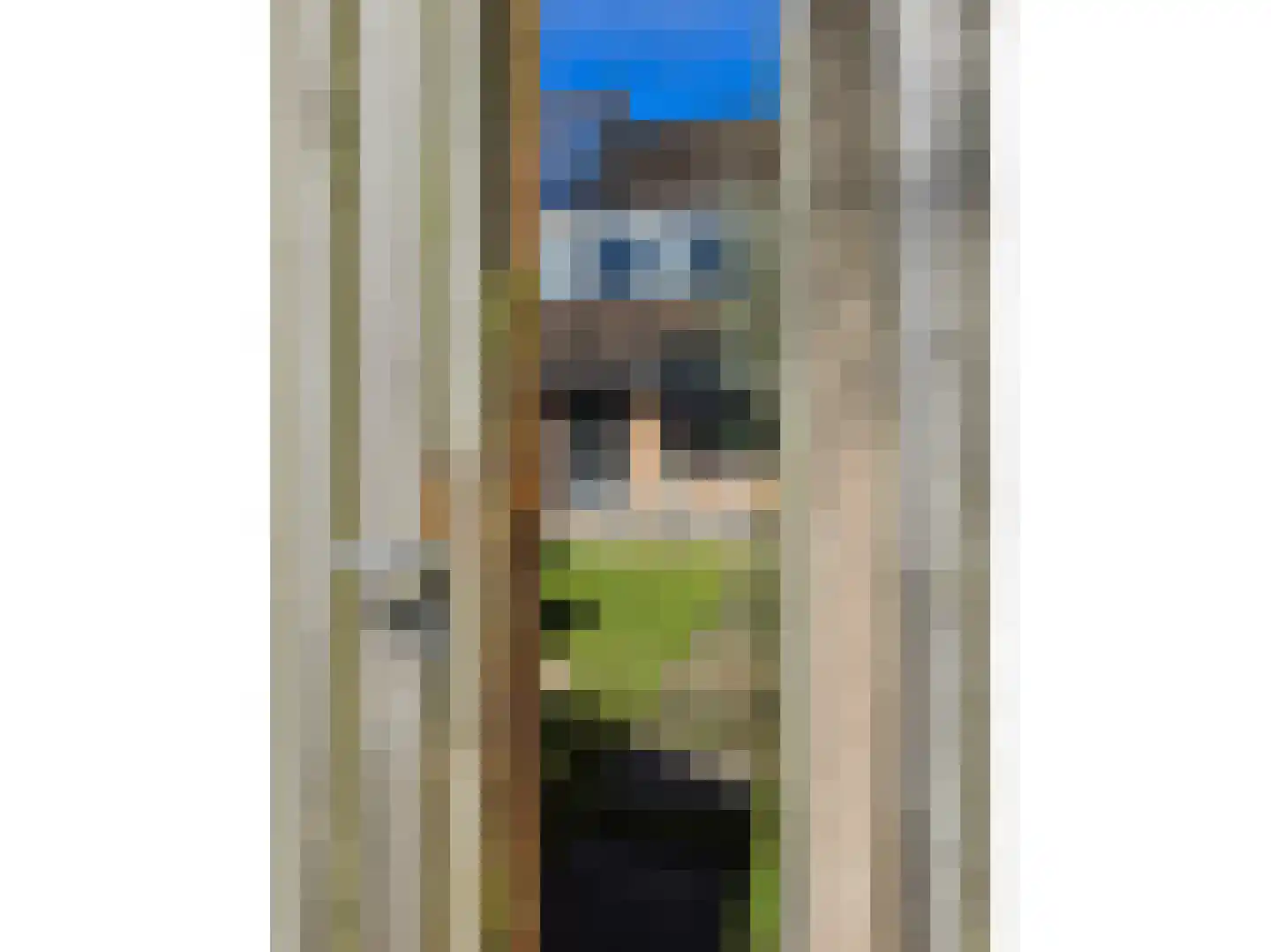 Godfried Bomansstraat 104 Hengelo thumbnail 89