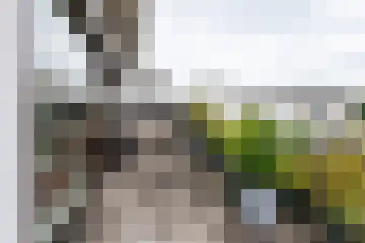 Godfried Bomansstraat 12 Culemborg thumbnail 24