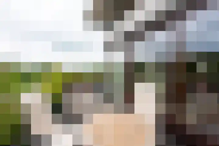 Godfried Bomansstraat 12 Culemborg thumbnail 25
