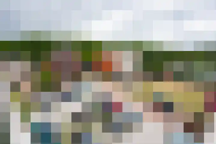 Godfried Bomansstraat 12 Culemborg thumbnail 43