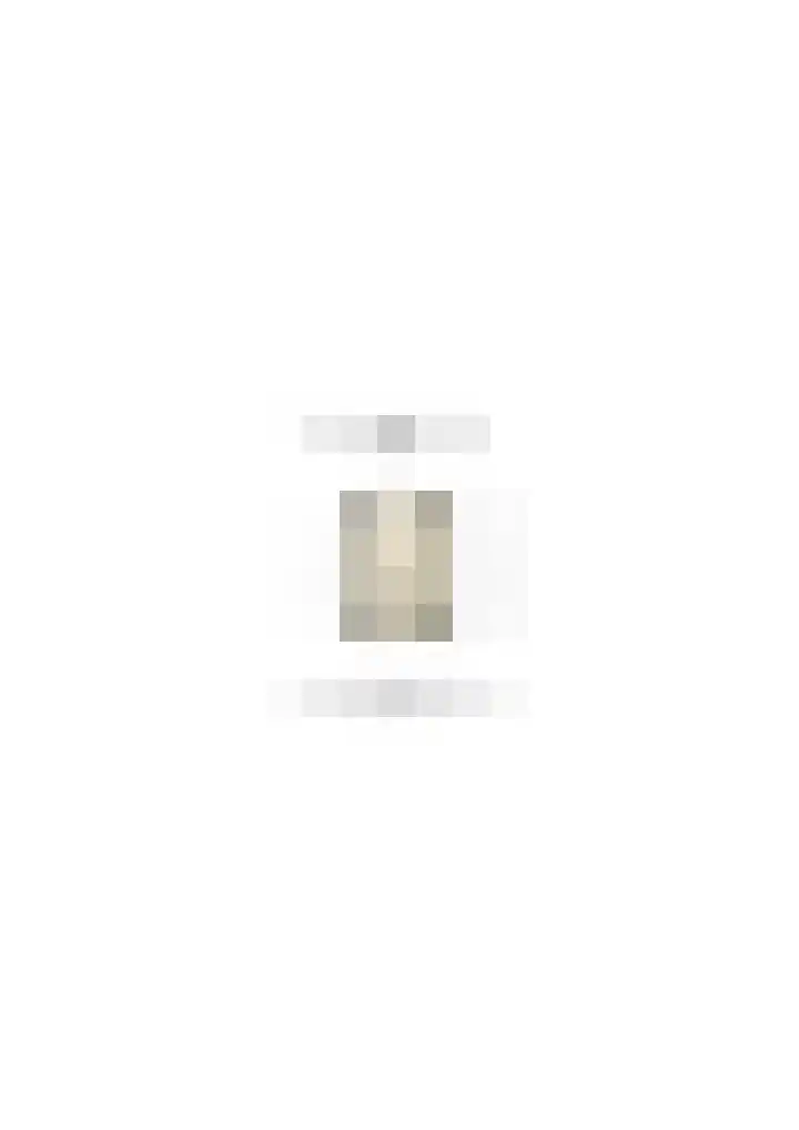 Godfried Bomansstraat 12 Culemborg thumbnail 51