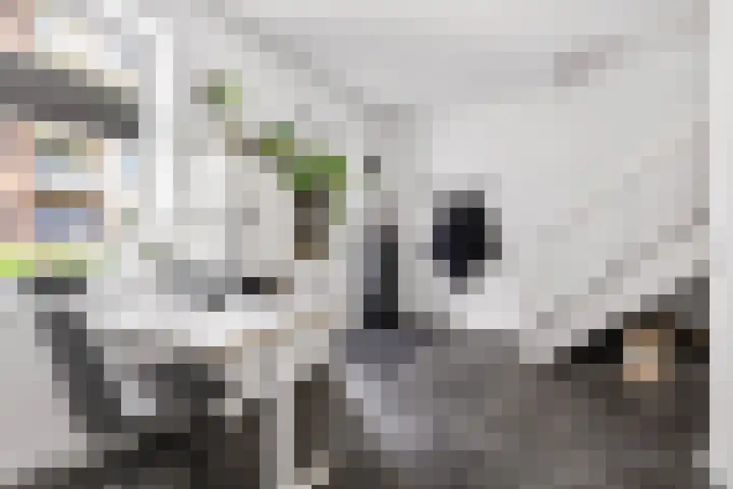 Godfried Bomansstraat 2 Veenendaal thumbnail 22