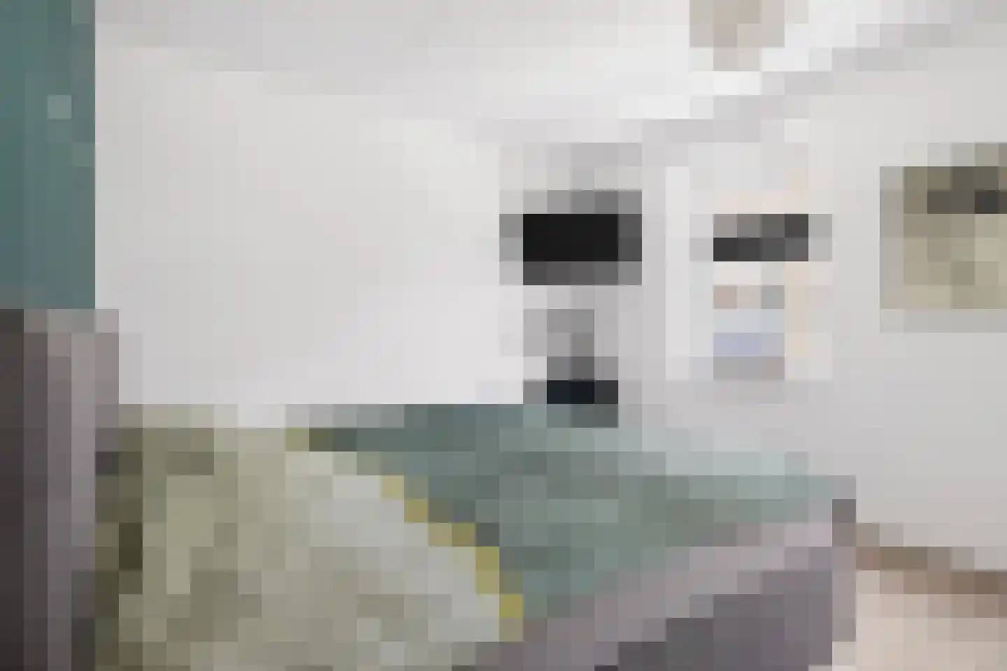 Godfried Bomansstraat 2 Veenendaal thumbnail 27
