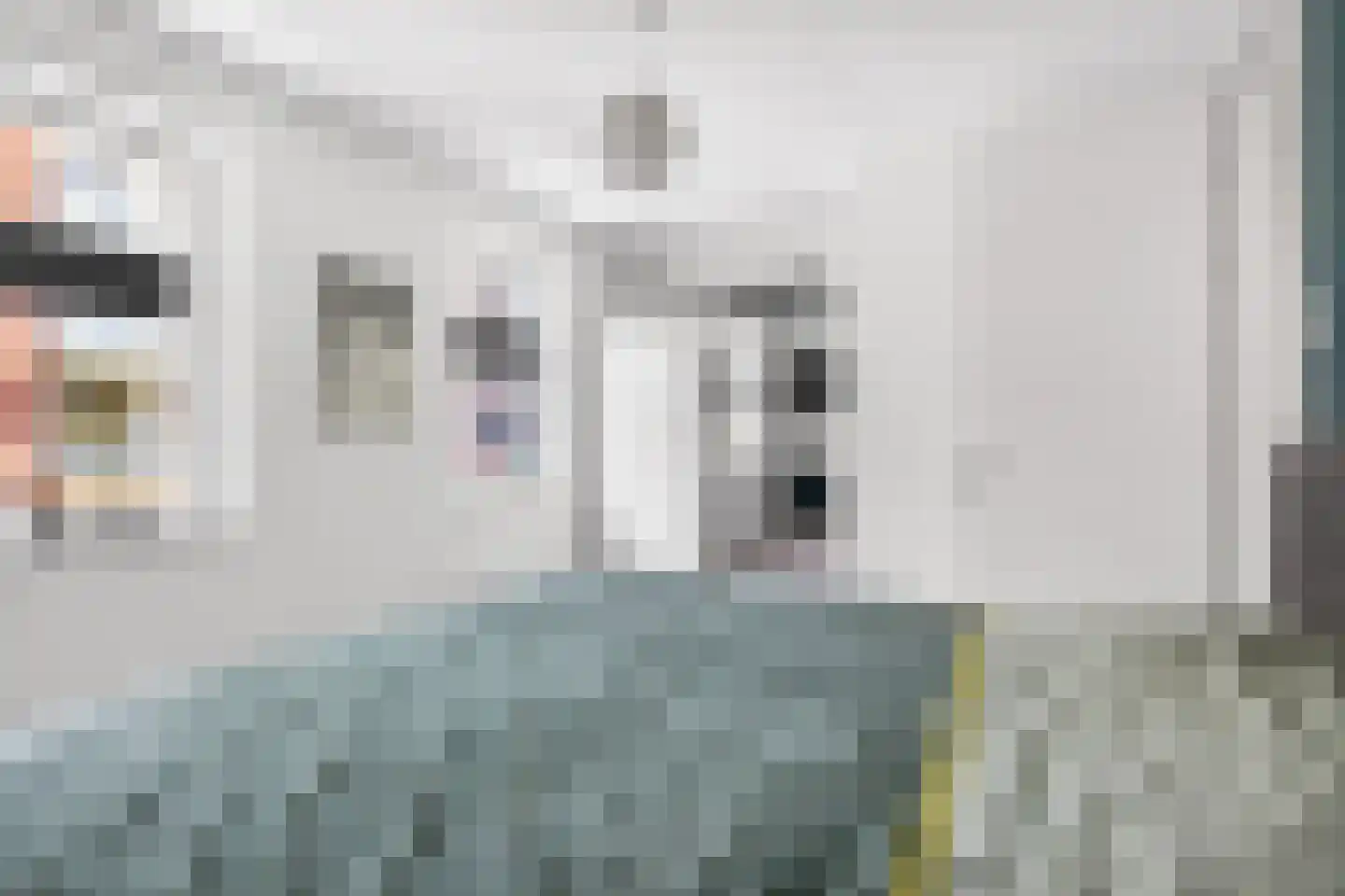 Godfried Bomansstraat 2 Veenendaal thumbnail 29