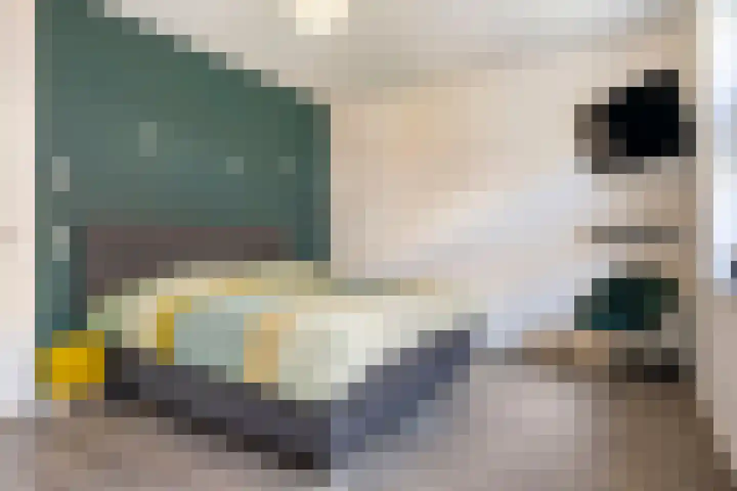 Godfried Bomansstraat 2 Veenendaal thumbnail 34
