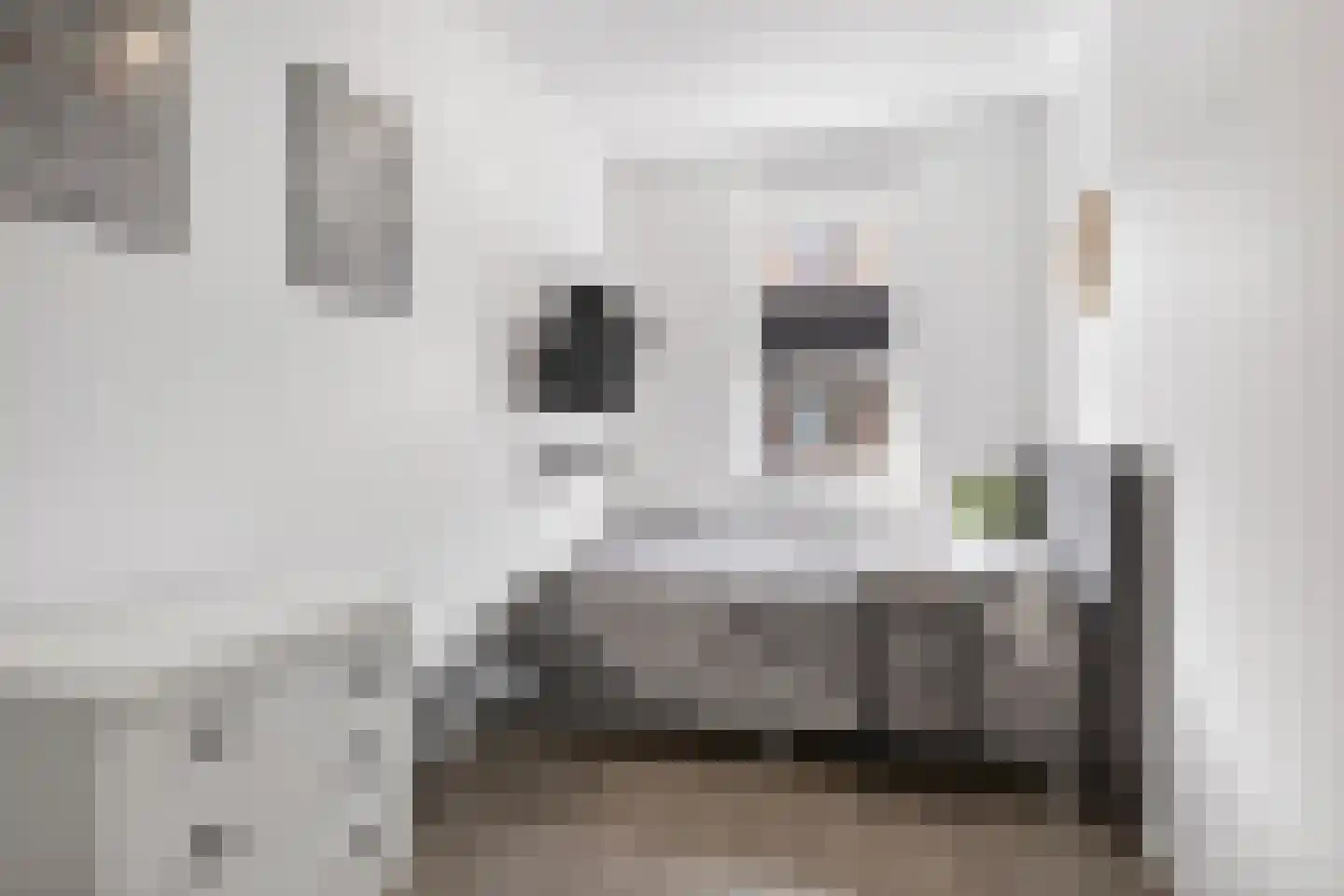 Godfried Bomansstraat 2 Veenendaal thumbnail 39