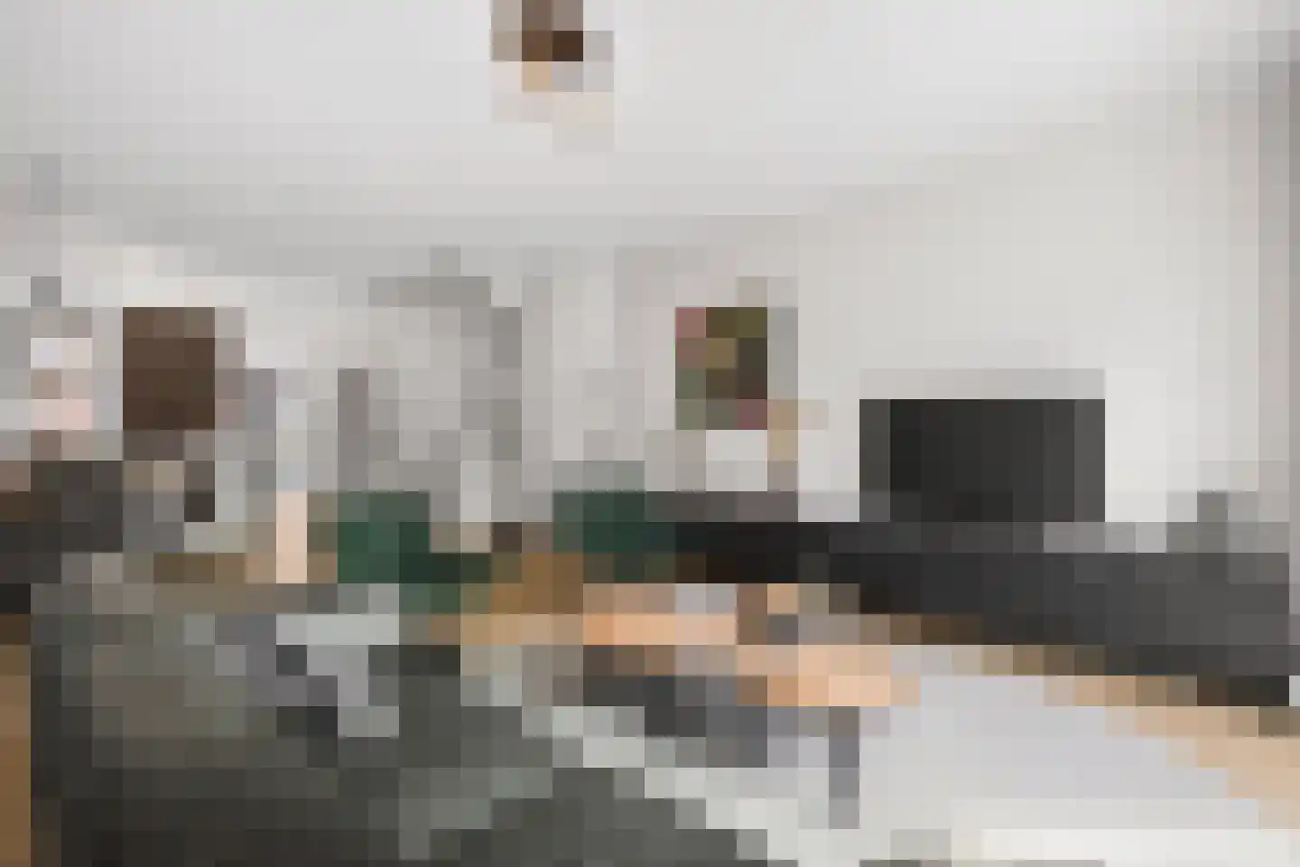 Godfried Bomansstraat 2 Veenendaal thumbnail 4