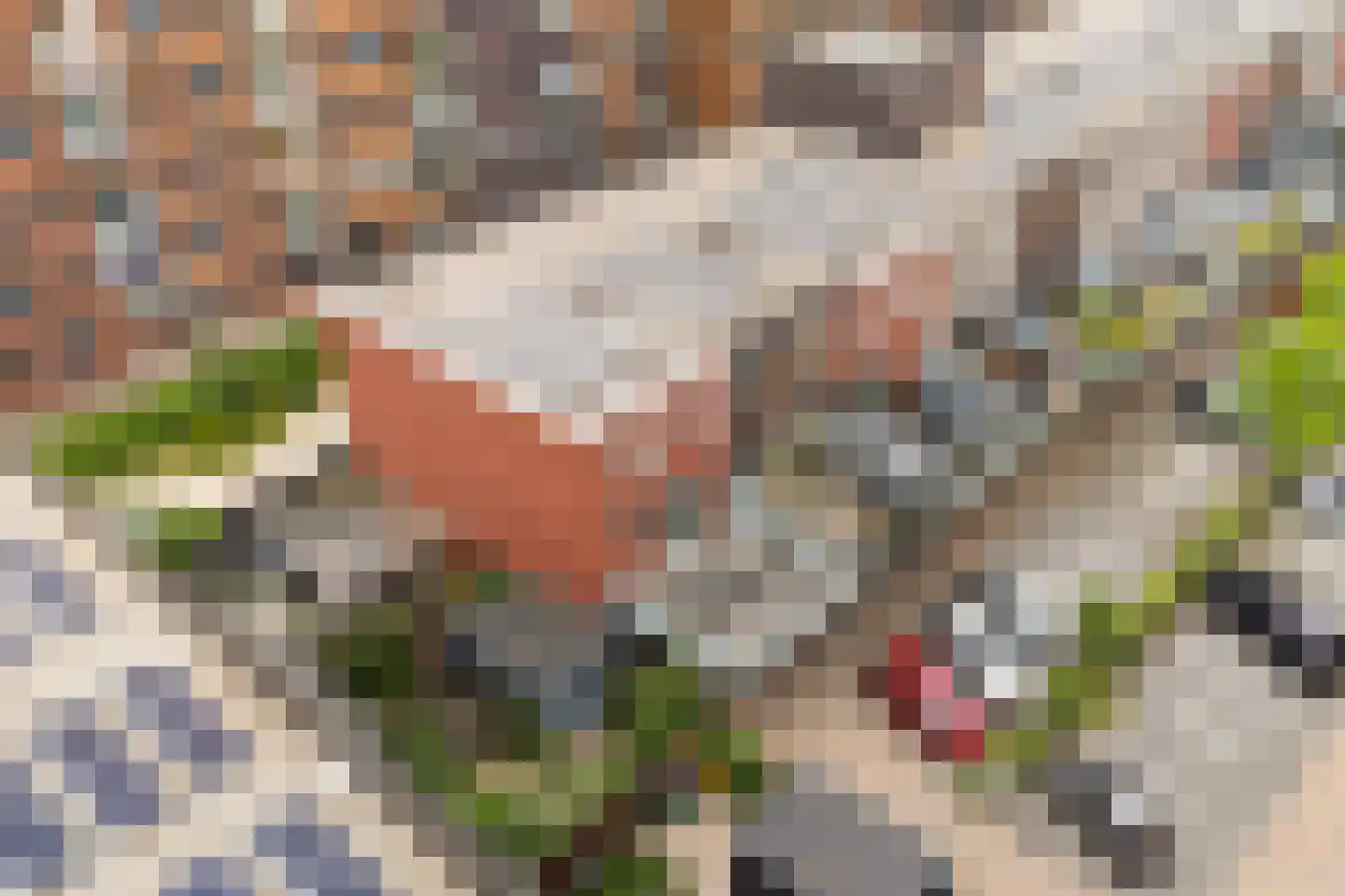 Godfried Bomansstraat 2 Veenendaal thumbnail 42