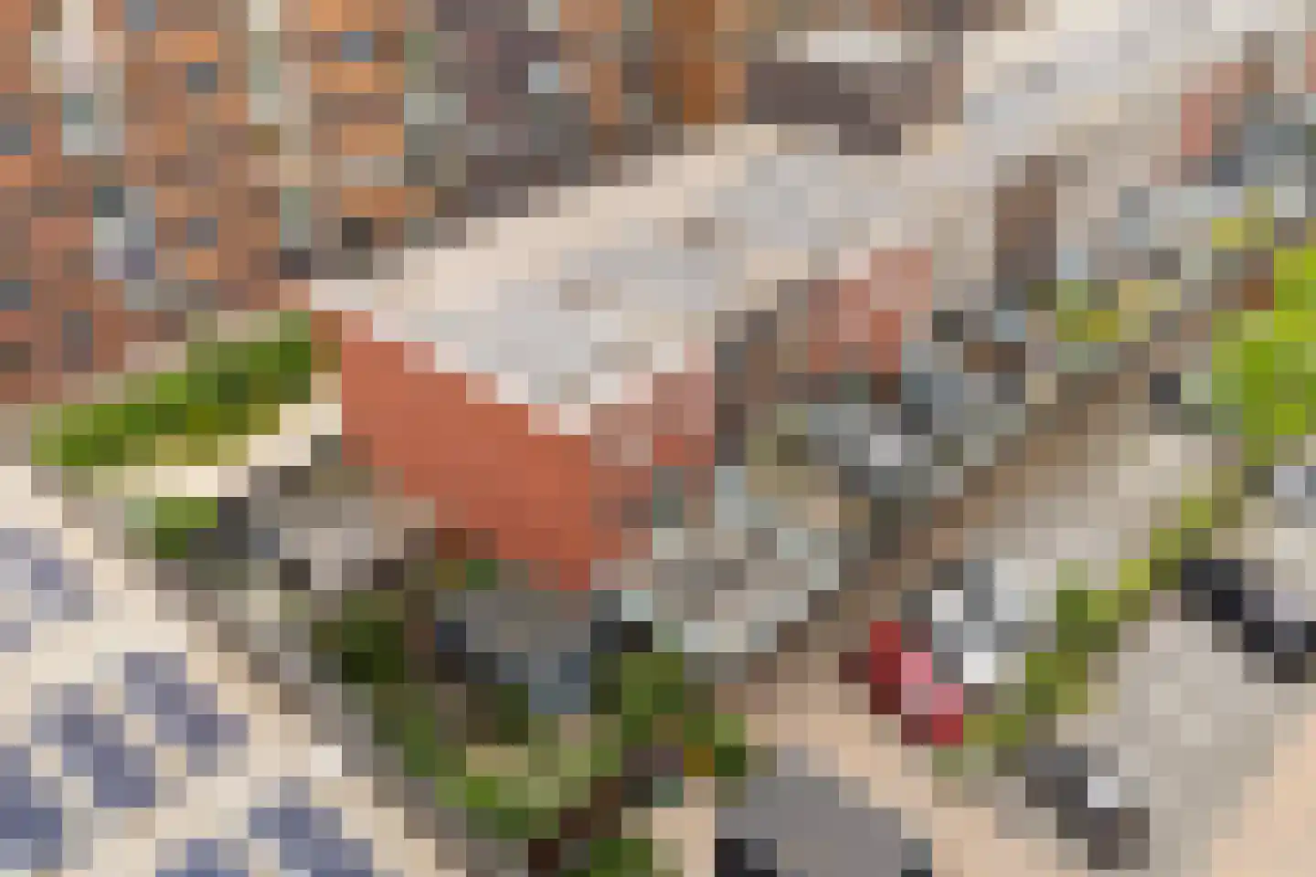 Godfried Bomansstraat 2 Veenendaal thumbnail 49
