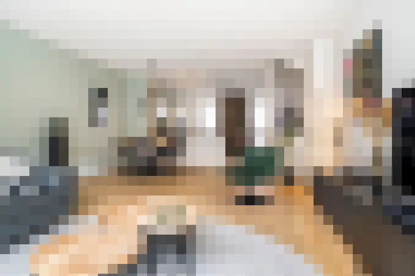 Godfried Bomansstraat 2 Veenendaal thumbnail 8