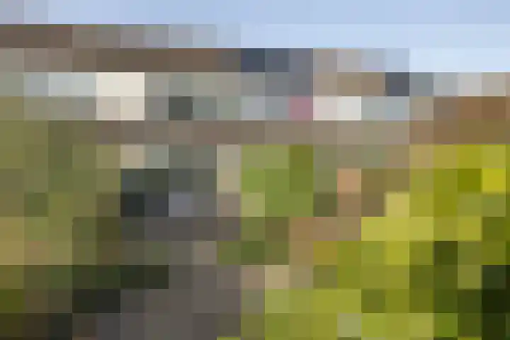 Godfried Bomansstraat 28 Hengelo thumbnail 27