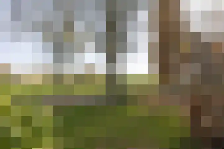 Godfried Bomansstraat 28 Hengelo thumbnail 30
