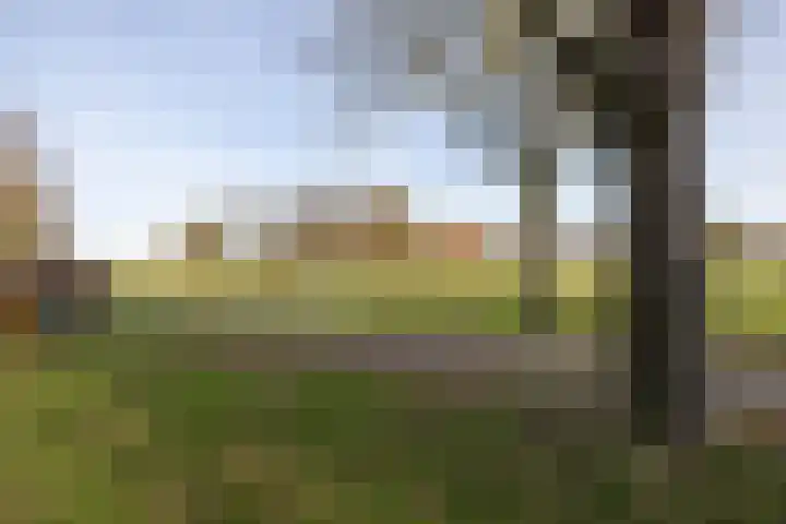 Godfried Bomansstraat 28 Hengelo thumbnail 31