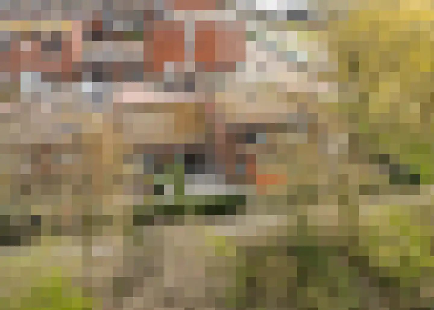 Godfried Bomansstraat 3 Heerhugowaard thumbnail 29