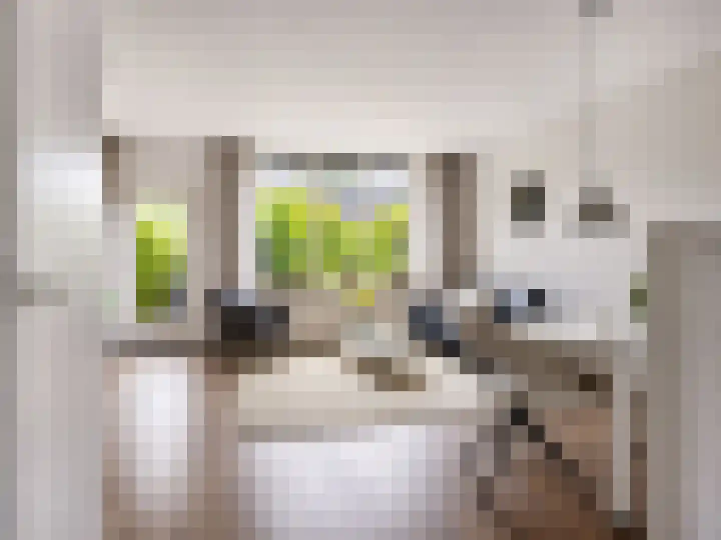 Godfried Bomansstraat 45 Hengelo thumbnail 22