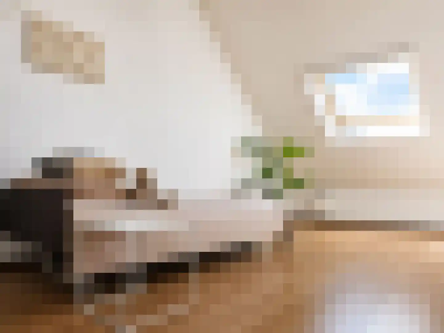 Godfried Bomansstraat 45 Hengelo thumbnail 64