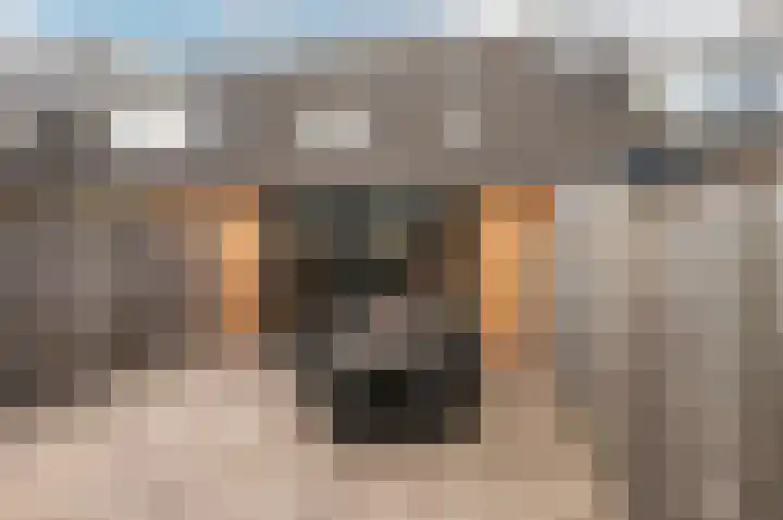 Godfried Bomansstraat 67 Almere thumbnail 33